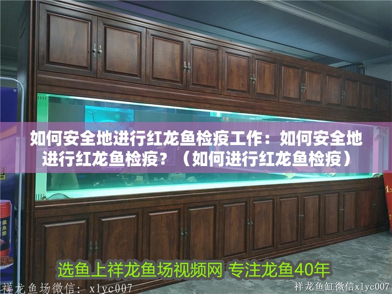如何安全地進行紅龍魚檢疫工作：如何安全地進行紅龍魚檢疫？（如何進行紅龍魚檢疫）