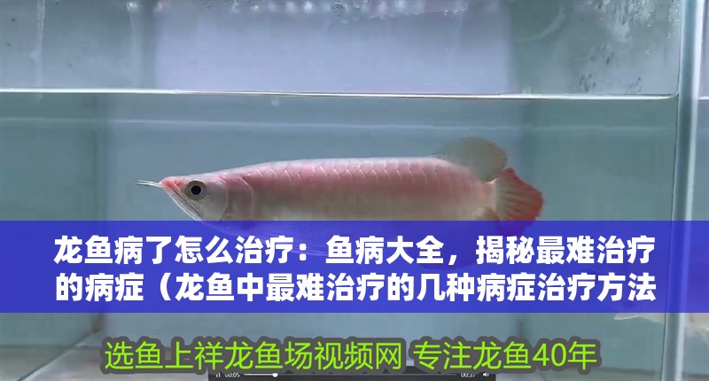 龍魚病了怎么治療：魚病大全，揭秘最難治療的病癥（龍魚中最難治療的幾種病癥治療方法，龍魚最難治療的病癥）
