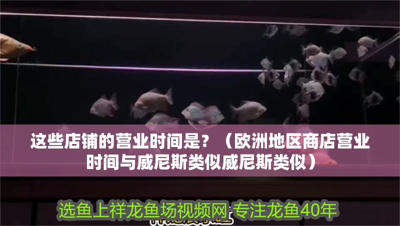 這些店鋪的營(yíng)業(yè)時(shí)間是？（歐洲地區(qū)商店?duì)I業(yè)時(shí)間與威尼斯類似威尼斯類似）