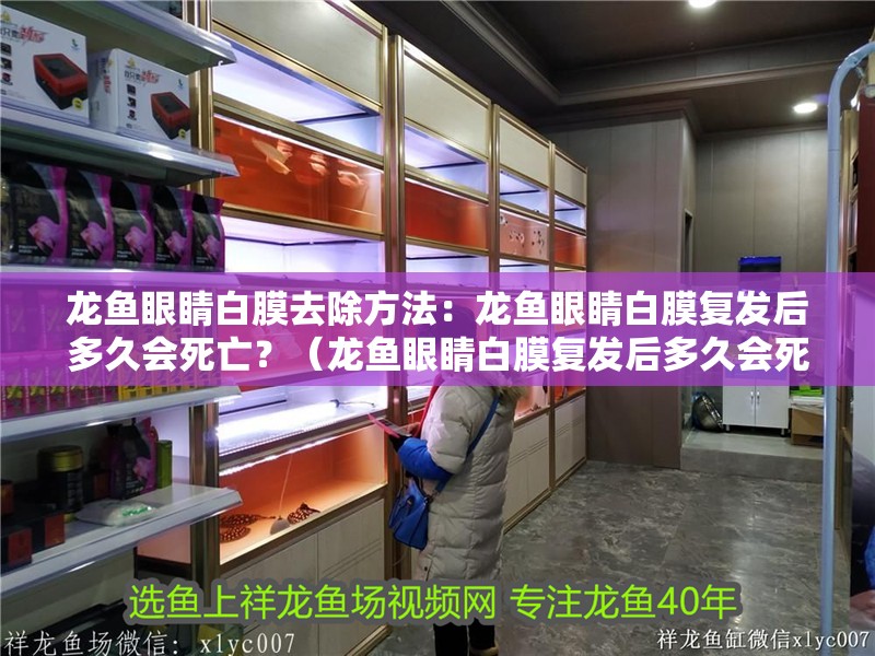 龍魚眼睛白膜去除方法：龍魚眼睛白膜復發后多久會死亡？（龍魚眼睛白膜復發后多久會死亡，）