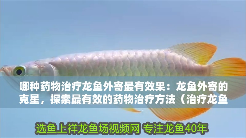 哪種藥物治療龍魚外寄最有效果：龍魚外寄的克星，探索最有效的藥物治療方法（治療龍魚外寄的藥物）