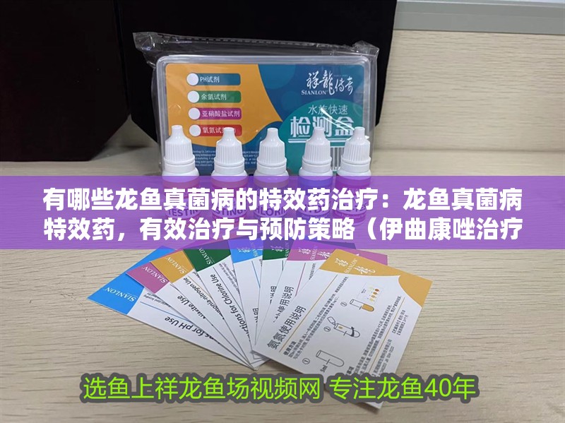 有哪些龍魚真菌病的特效藥治療：龍魚真菌病特效藥，有效治療與預(yù)防策略（伊曲康唑治療龍魚真菌病的特效藥物治療龍魚真菌病）