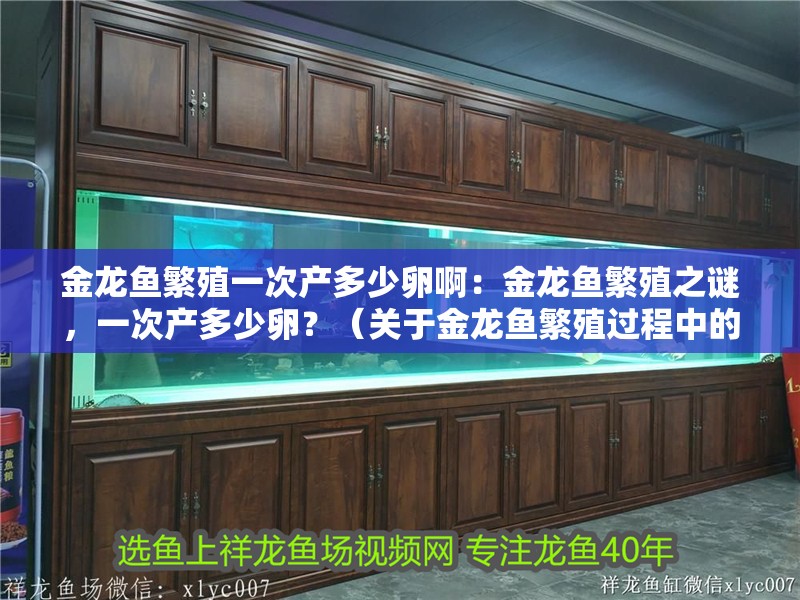 金龍魚繁殖一次產(chǎn)多少卵啊：金龍魚繁殖之謎，一次產(chǎn)多少卵？（關(guān)于金龍魚繁殖過程中的一個關(guān)鍵問題——產(chǎn)卵數(shù)量）