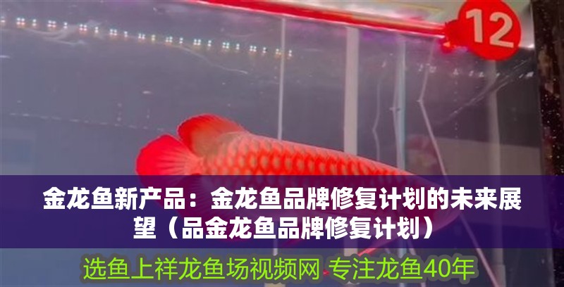 金龍魚新產(chǎn)品：金龍魚品牌修復(fù)計劃的未來展望（品金龍魚品牌修復(fù)計劃）