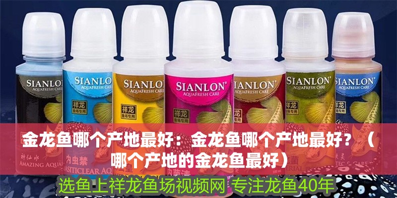 金龍魚哪個產地最好：金龍魚哪個產地最好？（哪個產地的金龍魚最好）