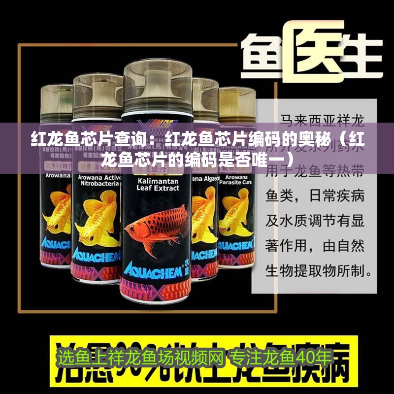 紅龍魚芯片查詢：紅龍魚芯片編碼的奧秘（紅龍魚芯片的編碼是否唯一）