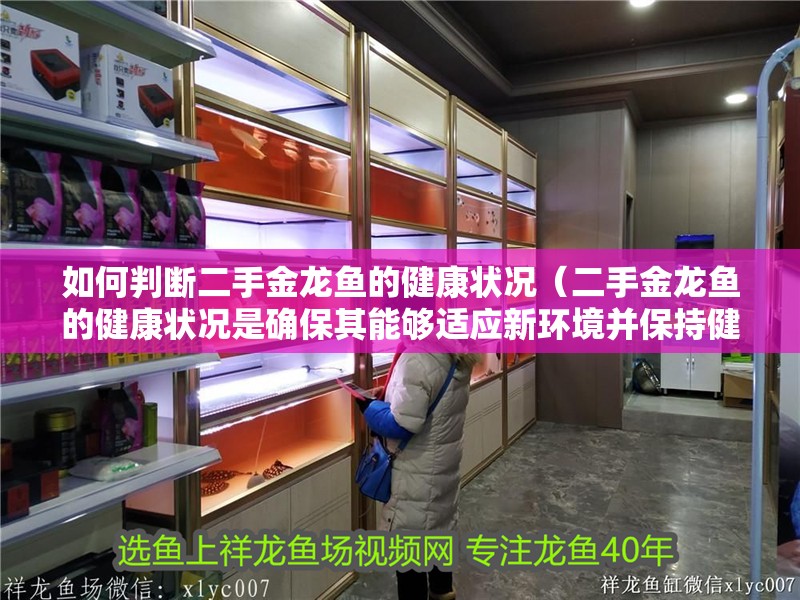 如何判斷二手金龍魚的健康狀況（二手金龍魚的健康狀況是確保其能夠適應新環境并保持健康生長的關鍵）