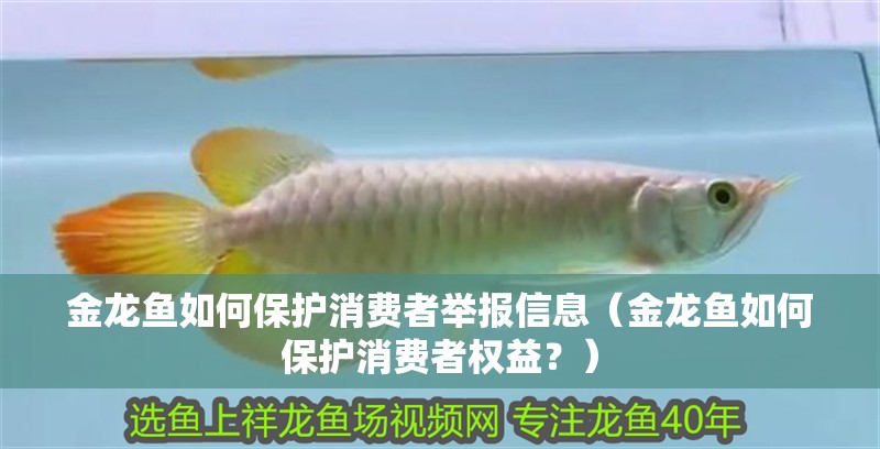金龍魚如何保護(hù)消費者舉報信息（金龍魚如何保護(hù)消費者權(quán)益？）