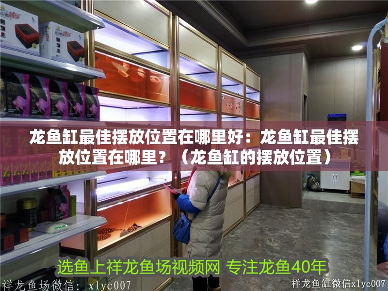 龍魚缸最佳擺放位置在哪里好：龍魚缸最佳擺放位置在哪里？（龍魚缸的擺放位置）