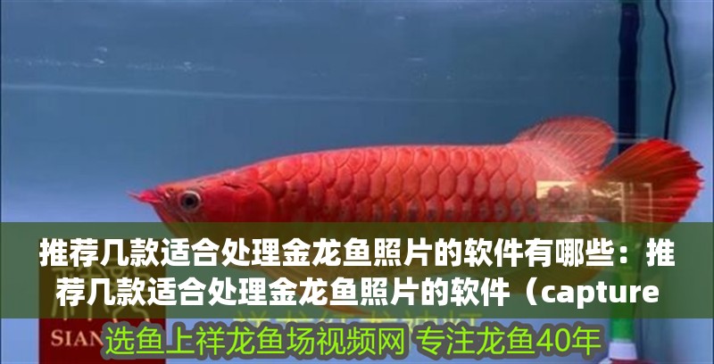 推薦幾款適合處理金龍魚照片的軟件有哪些：推薦幾款適合處理金龍魚照片的軟件（captureonepro軟件介紹）