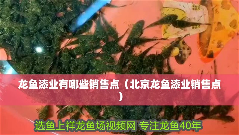 龍魚漆業有哪些銷售點（北京龍魚漆業銷售點） 龍魚漆業有哪些銷售點（北京龍魚漆業銷售點） 龍魚百科