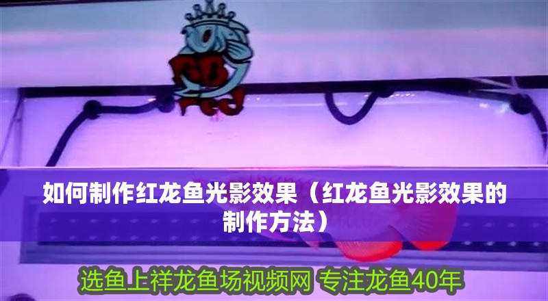 如何制作紅龍魚光影效果（紅龍魚光影效果的制作方法） 如何制作紅龍魚光影效果（紅龍魚光影效果的制作方法） 龍魚百科