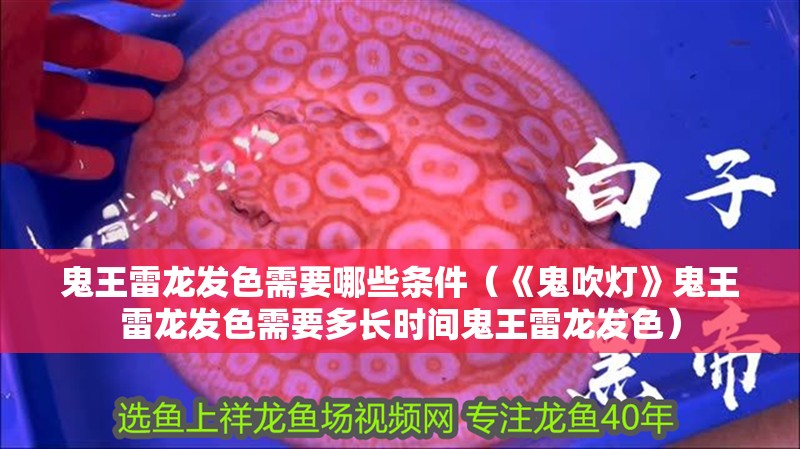 鬼王雷龍發(fā)色需要哪些條件（《鬼吹燈》鬼王雷龍發(fā)色需要多長時間鬼王雷龍發(fā)色）