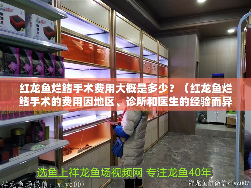 紅龍魚爛鰭手術費用大概是多少？（紅龍魚爛鰭手術的費用因地區、診所和醫生的經驗而異）