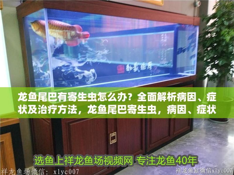 龍魚尾巴有寄生蟲怎么辦？全面解析病因、癥狀及治療方法，龍魚尾巴寄生蟲，病因、癥狀及治療全指南