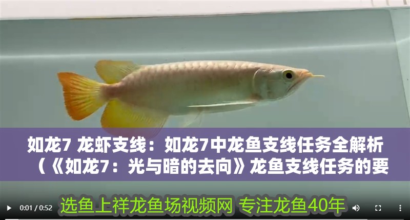 如龍7 龍蝦支線：如龍7中龍魚支線任務全解析（《如龍7：光與暗的去向》龍魚支線任務的要求和限制）