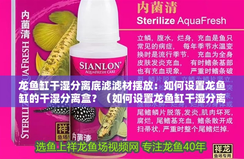 龍魚(yú)缸干濕分離底濾濾材擺放：如何設(shè)置龍魚(yú)缸的干濕分離盒？（如何設(shè)置龍魚(yú)缸干濕分離盒）