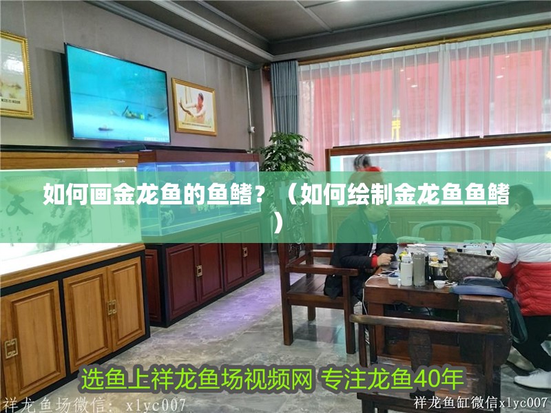 如何畫金龍魚的魚鰭？（如何繪制金龍魚魚鰭）