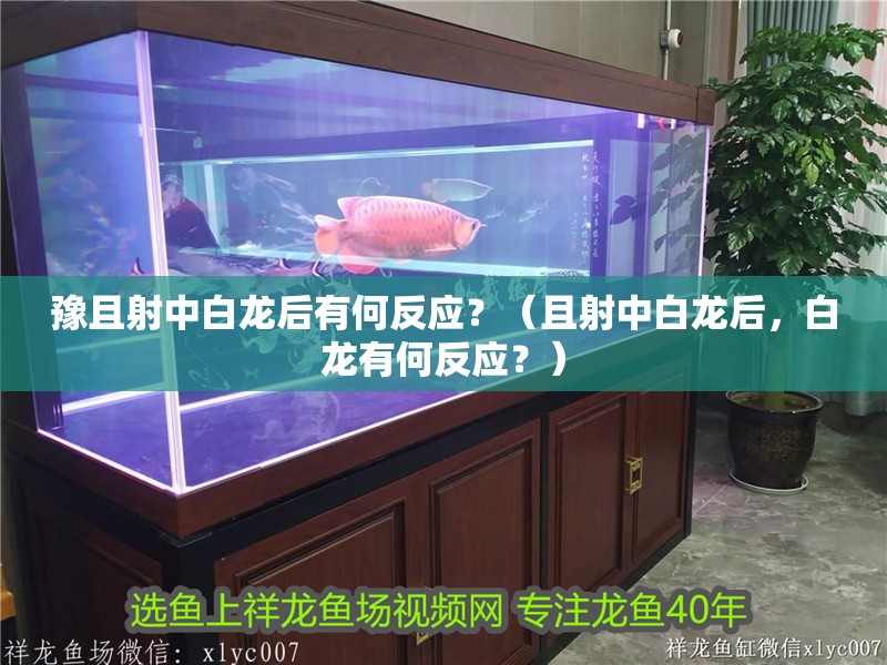 豫且射中白龍后有何反應？（且射中白龍后，白龍有何反應？）