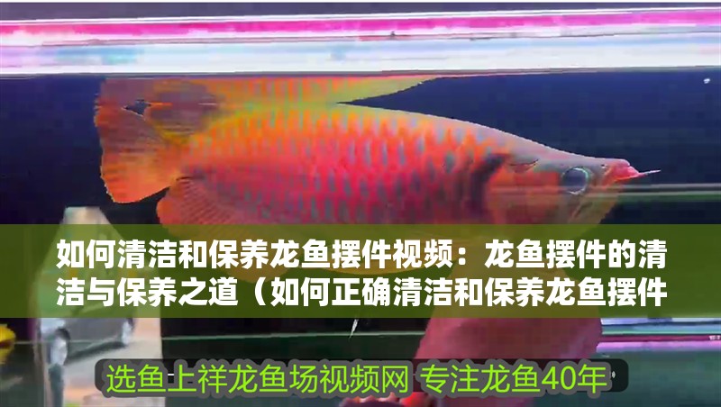 如何清潔和保養龍魚擺件視頻：龍魚擺件的清潔與保養之道（如何正確清潔和保養龍魚擺件）