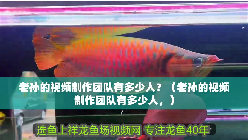 老孫的視頻制作團隊有多少人？（老孫的視頻制作團隊有多少人，）