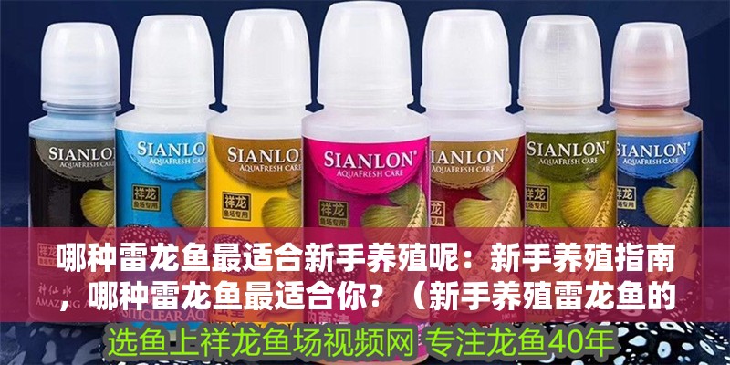 哪種雷龍魚最適合新手養殖呢：新手養殖指南，哪種雷龍魚最適合你？（新手養殖雷龍魚的注意事項）