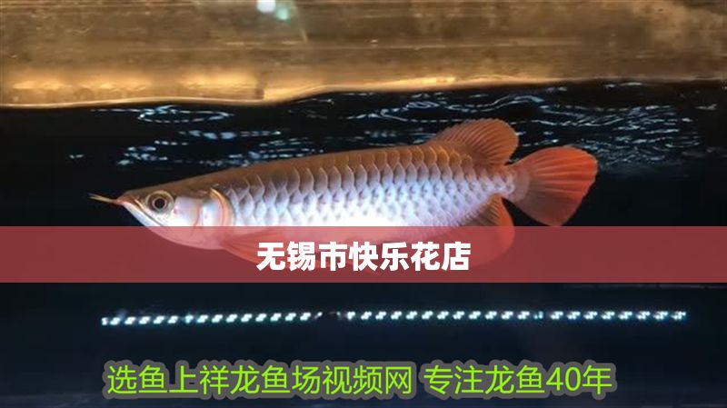 無錫市快樂花店 無錫市快樂花店 全國水族館企業名錄 第1張