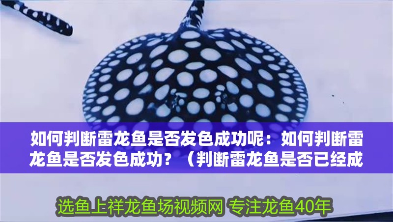 如何判斷雷龍魚是否發色成功呢：如何判斷雷龍魚是否發色成功？（判斷雷龍魚是否已經成功發色成功發色成功的標準和方法）
