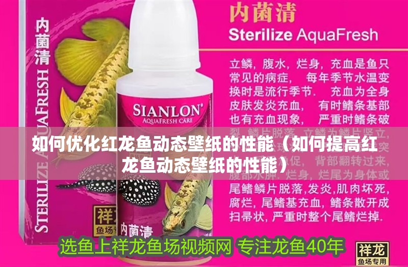 如何優化紅龍魚動態壁紙的性能（如何提高紅龍魚動態壁紙的性能）