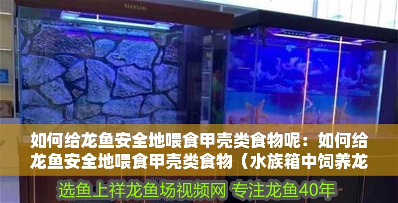 如何給龍魚安全地喂食甲殼類食物呢：如何給龍魚安全地喂食甲殼類食物（水族箱中飼養(yǎng)龍魚的注意事項(xiàng)）