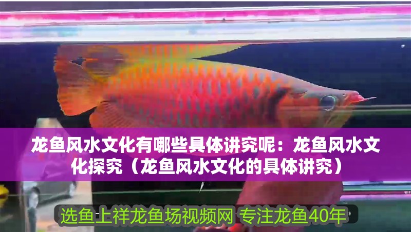 龍魚風水文化有哪些具體講究呢：龍魚風水文化探究（龍魚風水文化的具體講究）