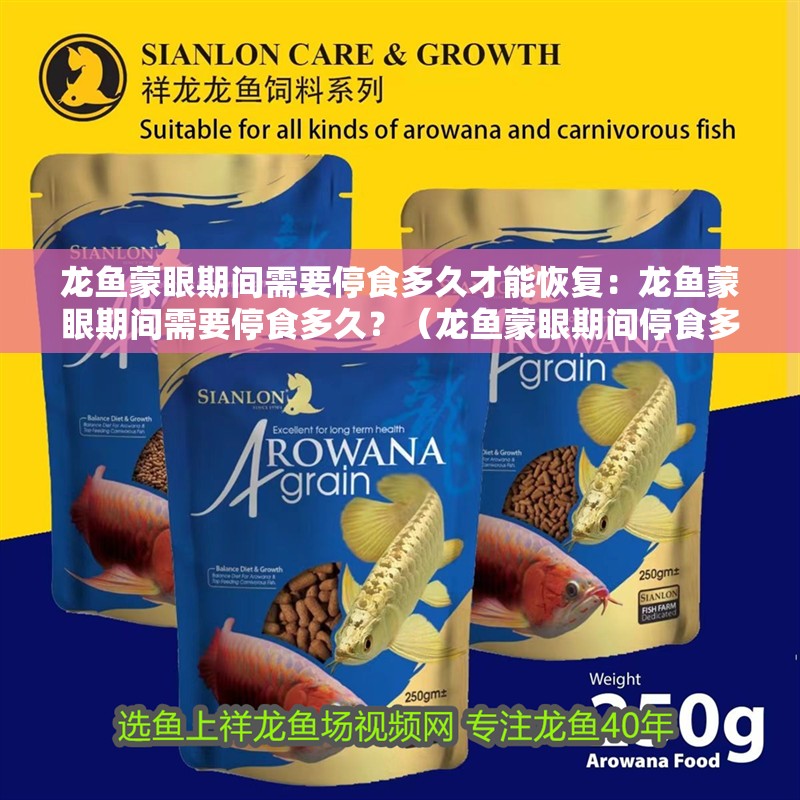 龍魚蒙眼期間需要停食多久才能恢復(fù)：龍魚蒙眼期間需要停食多久？（龍魚蒙眼期間停食多久需要停食多久）