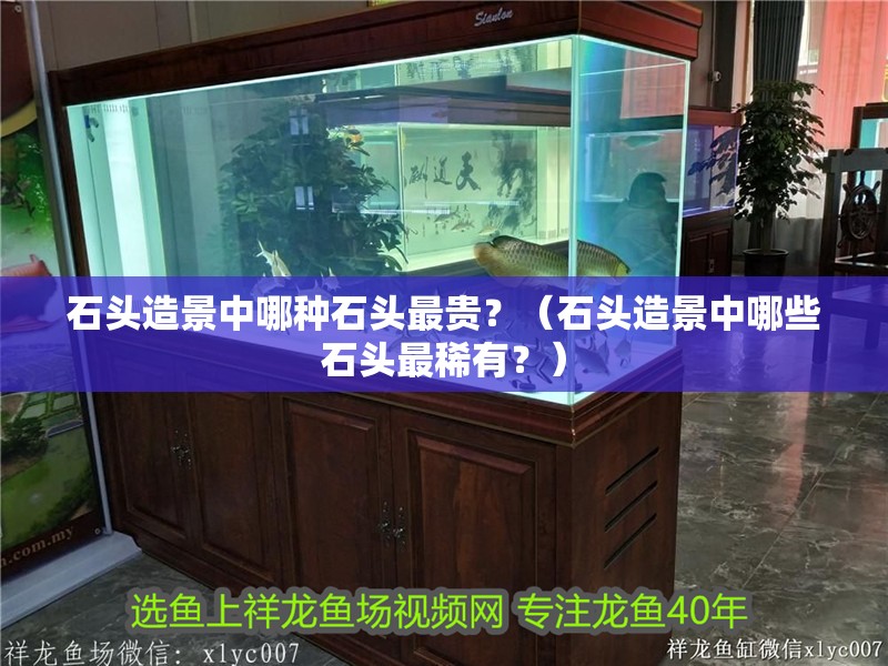 石頭造景中哪種石頭最貴？（石頭造景中哪些石頭最稀有？）