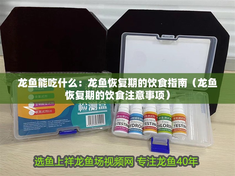 龍魚能吃什么：龍魚恢復期的飲食指南（龍魚恢復期的飲食注意事項）