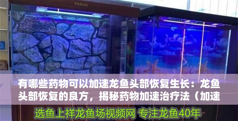 有哪些藥物可以加速龍魚頭部恢復(fù)生長：龍魚頭部恢復(fù)的良方，揭秘藥物加速治療法（加速龍魚頭部恢復(fù)的藥物可以加速龍魚頭部恢復(fù)的藥物）