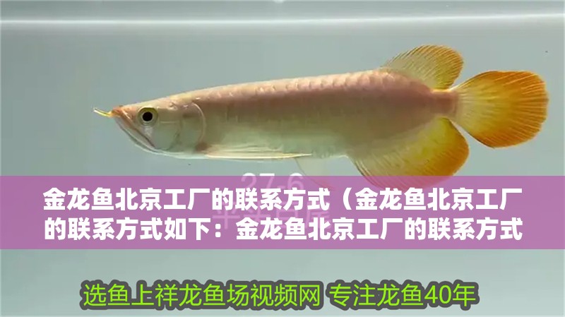 金龍魚<strong><mark>北京</mark></strong>工廠的聯系方式（金龍魚<strong><mark>北京</mark></strong>工廠的聯系方式如下：金龍魚<strong><mark>北京</mark></strong>工廠的聯系方式）