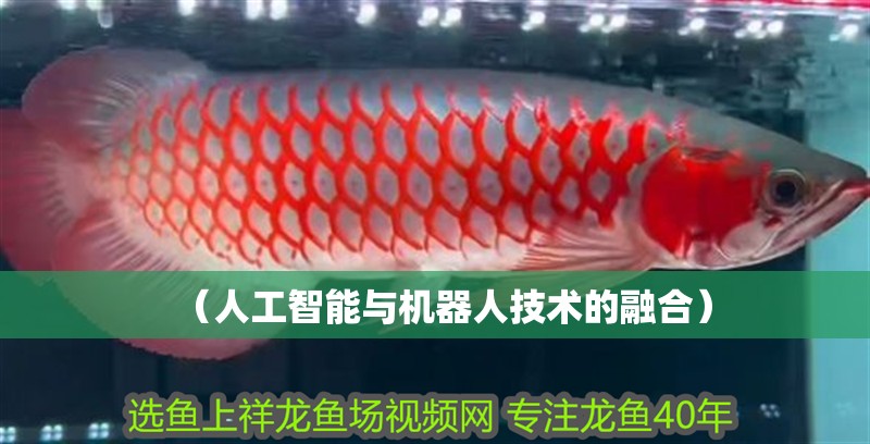 （人工智能與機器人技術的融合）