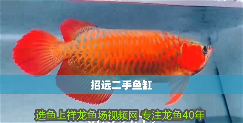 招遠二手魚缸