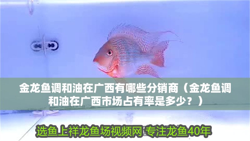金龍魚調和油在廣西有哪些分銷商（金龍魚調和油在廣<strong><mark>西市</mark></strong>場占有率是多少？）