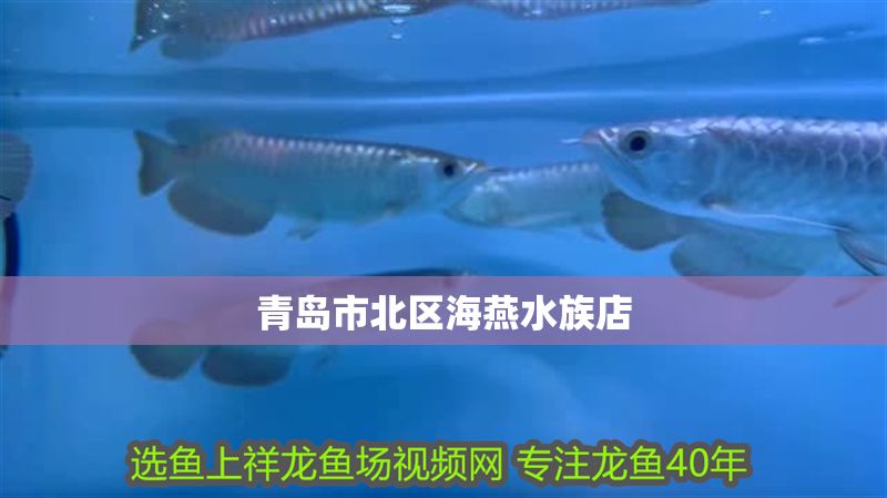 青島市北區海燕水族店 青島市北區海燕水族店 全國水族館企業名錄 第1張