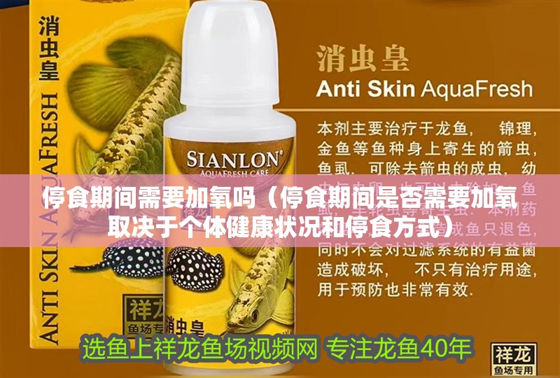 停食期間需要加氧嗎（停食期間是否需要加氧取決于個體健康狀況和停食方式）