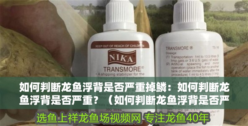 如何判斷龍魚浮背是否嚴重掉鱗：如何判斷龍魚浮背是否嚴重？（如何判斷龍魚浮背是否嚴重）