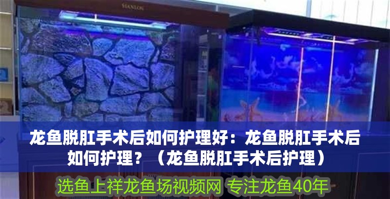 龍魚脫肛手術后如何護理好：龍魚脫肛手術后如何護理？（龍魚脫肛手術后護理）