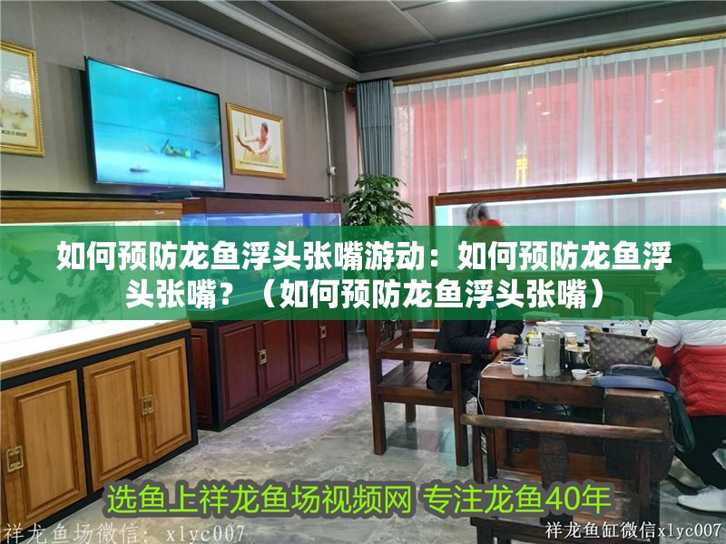 如何預(yù)防龍魚浮頭張嘴游動(dòng)：如何預(yù)防龍魚浮頭張嘴？（如何預(yù)防龍魚浮頭張嘴）