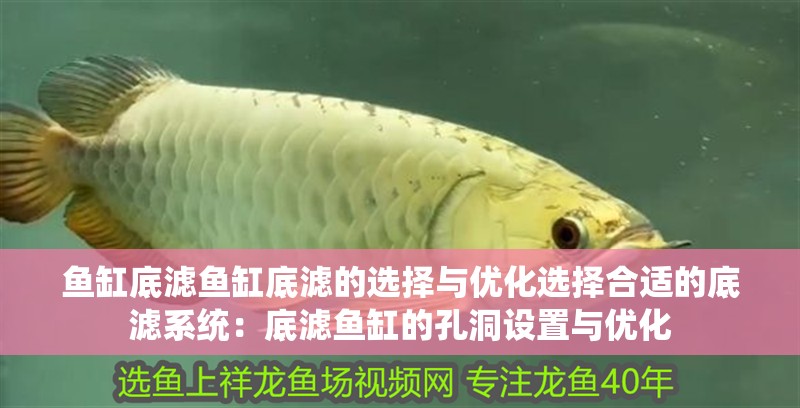 魚缸底濾魚缸底濾的選擇與優化選擇合適的底濾系統：底濾魚缸的孔洞設置與優化