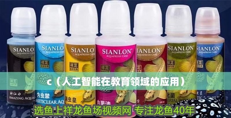 c（人工智能在教育領(lǐng)域的應(yīng)用）