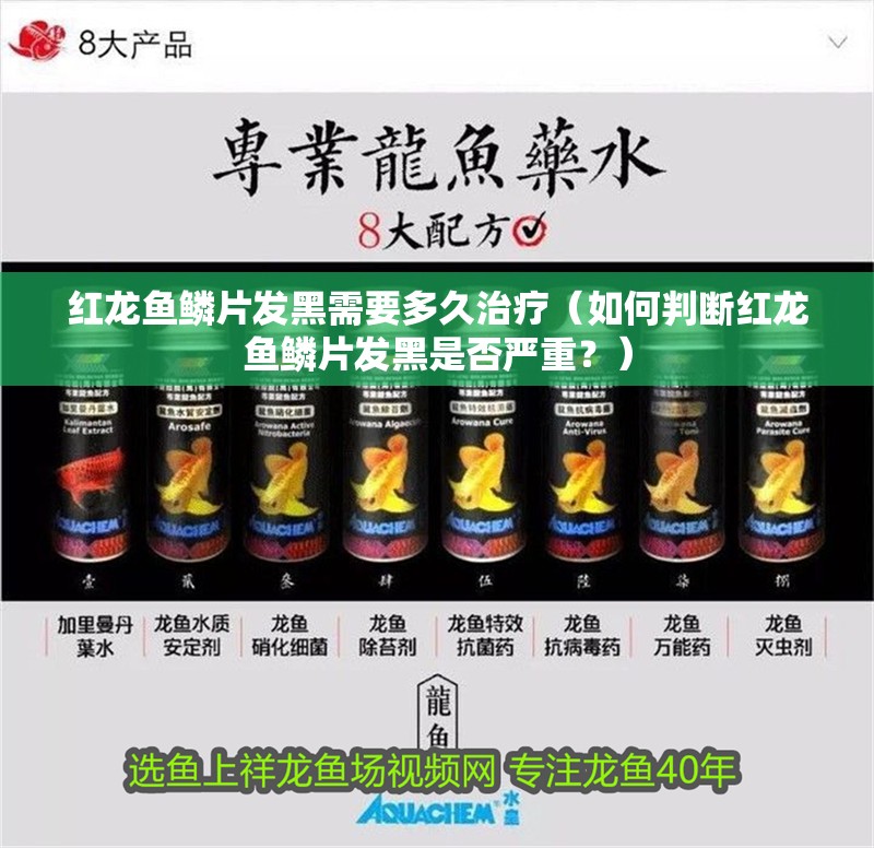 魚缸用增氧泵價格是多少:魚缸增氧機-xtrac增氧機-xtrac增氧機 紅龍魚鱗片發黑需要多久治療(如何判斷紅龍魚鱗片發黑是否嚴重?) 龍魚百科 紅龍魚鱗片發黑需要多久治療(如何判斷紅龍魚鱗片發黑是否嚴重?) 紅龍魚鱗片發黑需要多久治療(如何判斷紅龍魚鱗片發黑是否嚴重?) 龍魚百科