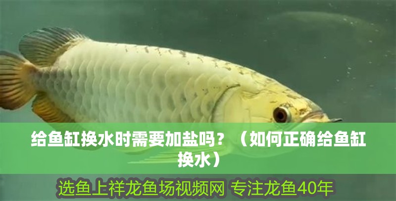 給魚缸換水時需要加鹽嗎？（如何正確給魚缸換水）