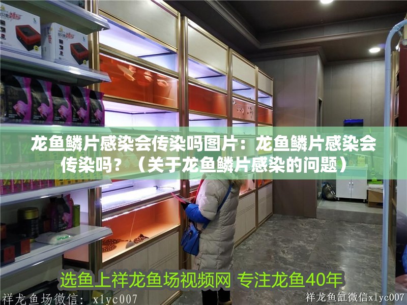 龍魚鱗片感染會傳染嗎圖片：龍魚鱗片感染會傳染嗎？（關于龍魚鱗片感染的問題）