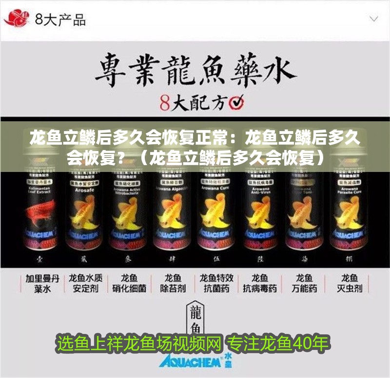 龍魚立鱗后多久會恢復正常：龍魚立鱗后多久會恢復？（龍魚立鱗后多久會恢復）